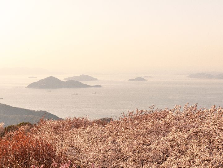 三豊市
