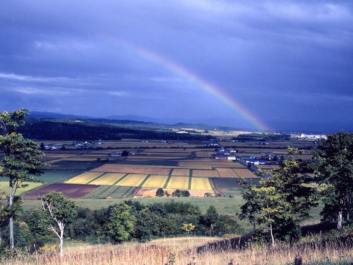 沼田町