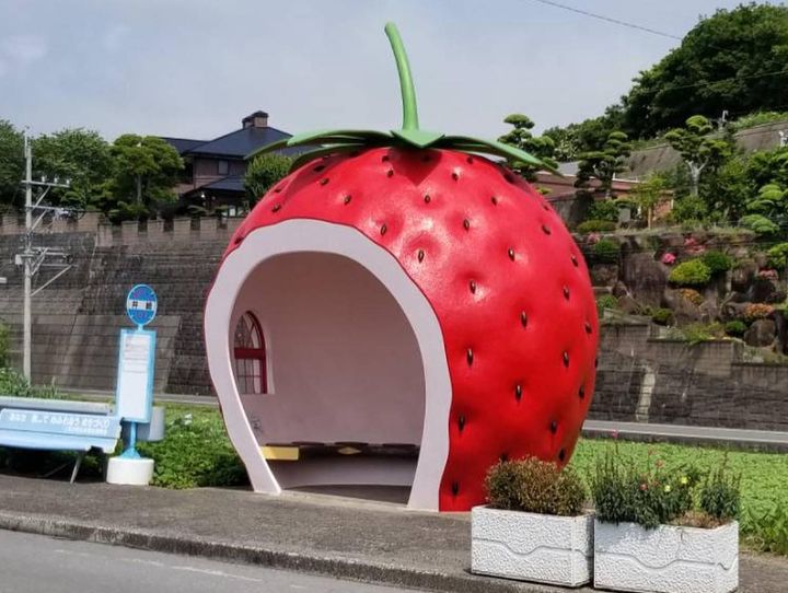 諫早市