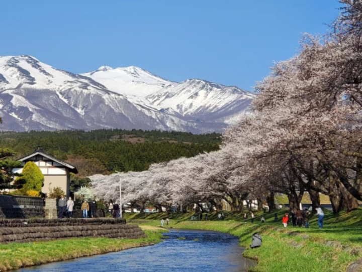 鶴岡市