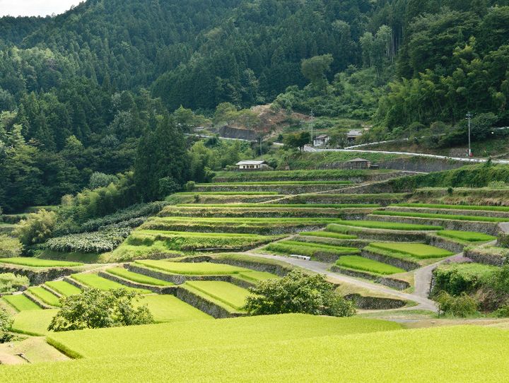 恵那市