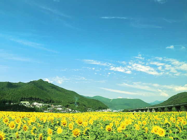 新宮市