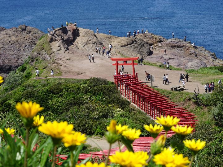 山口県全体