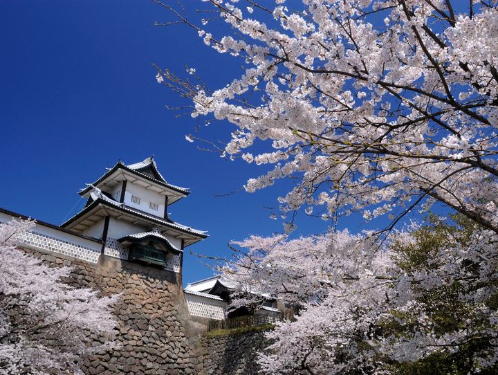 石川県全体
