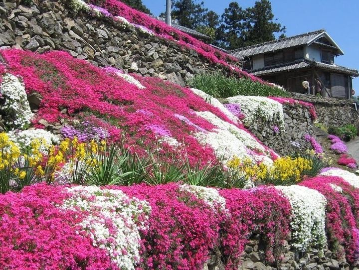 吉野川市