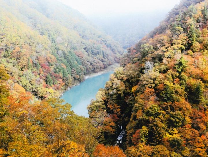 泰阜村