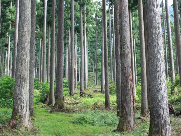 西粟倉村