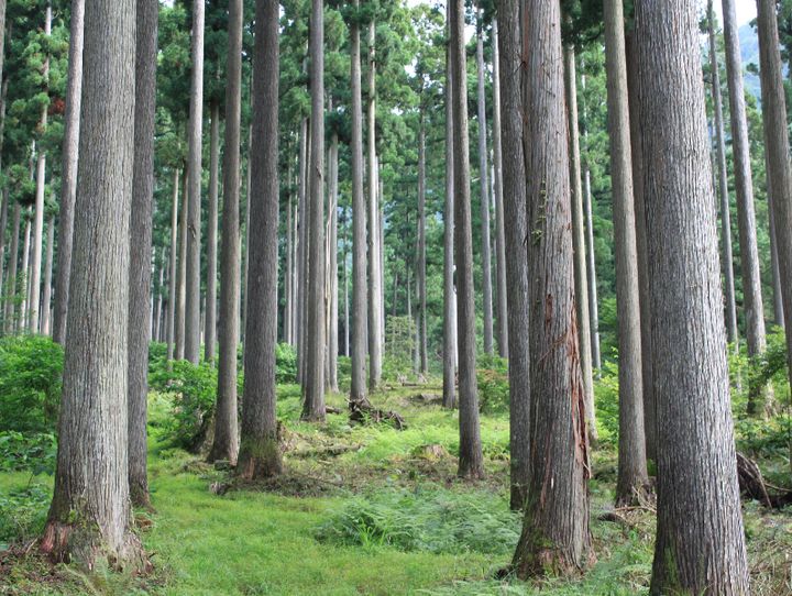 西粟倉村