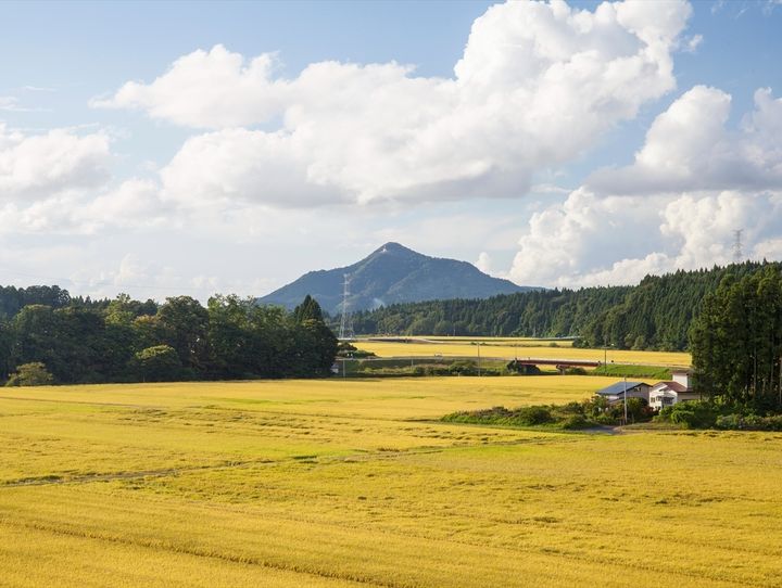 五城目町