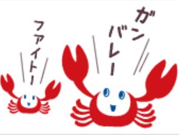 福井県全体