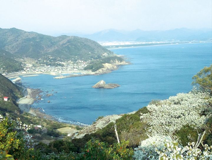 美浜町