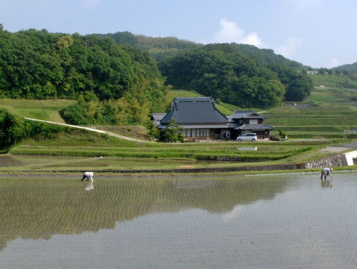 神戸市