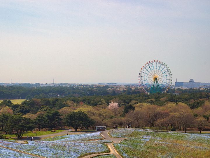 ひたちなか市
