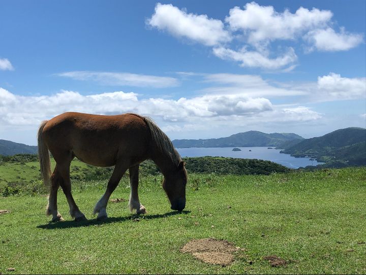 西ノ島町