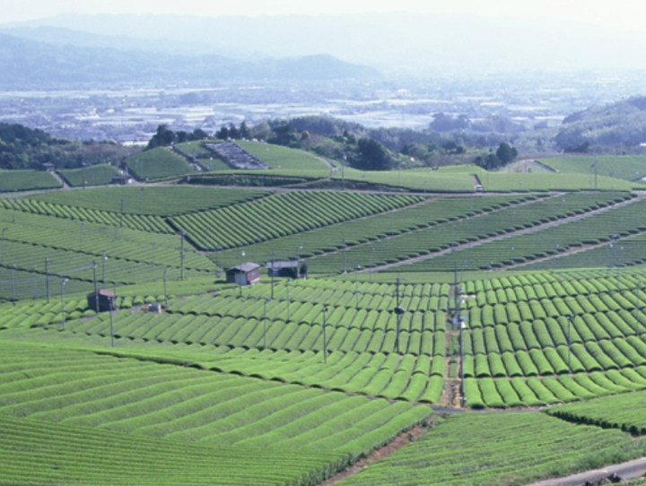 八女市