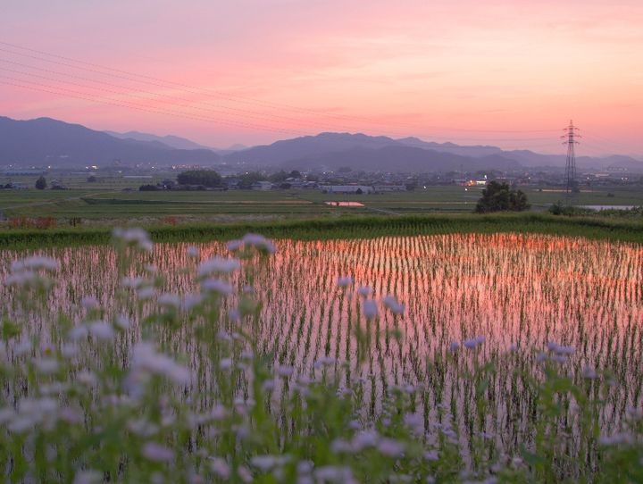 亀岡市