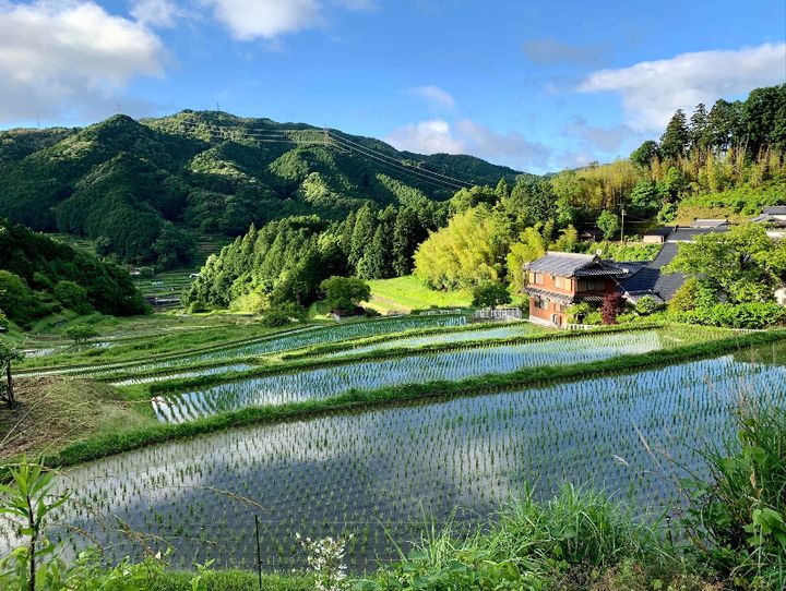 豊能町