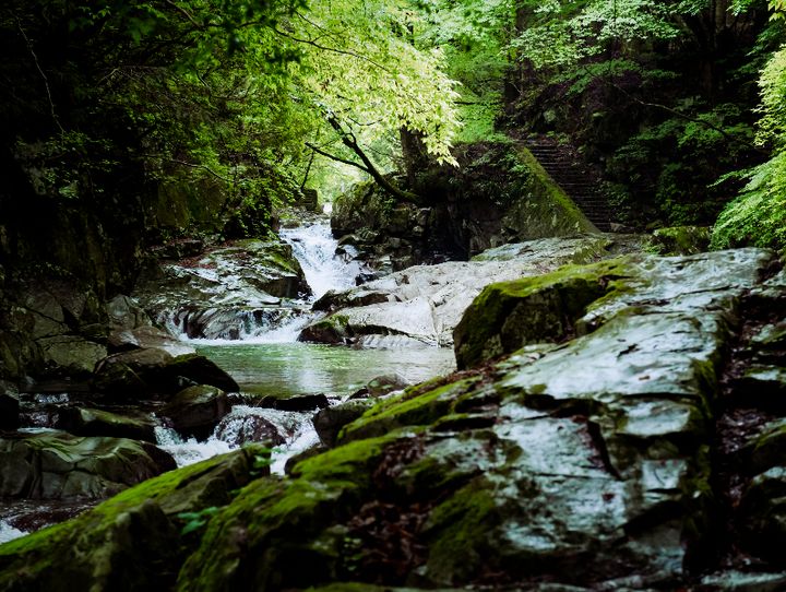 天川村
