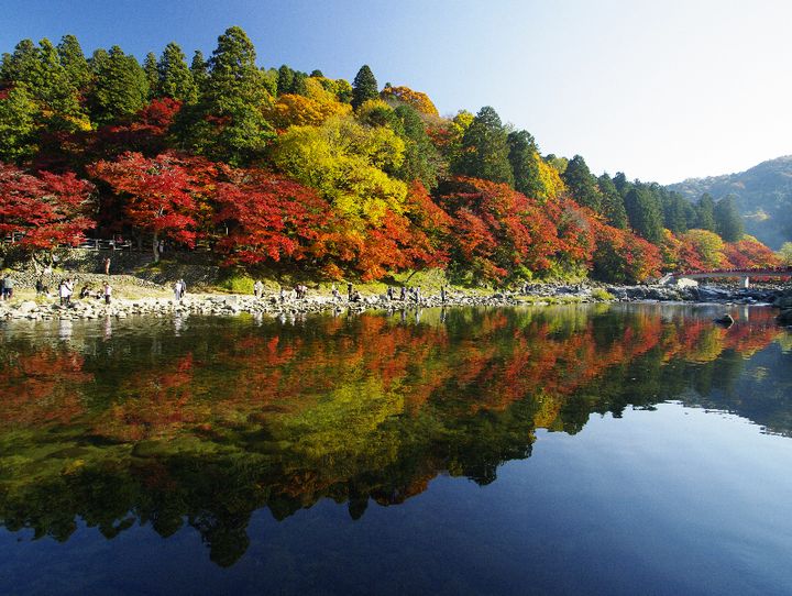 豊田市