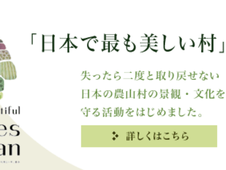 新庄村
