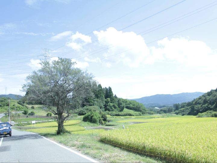 高山村