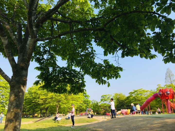 富谷市