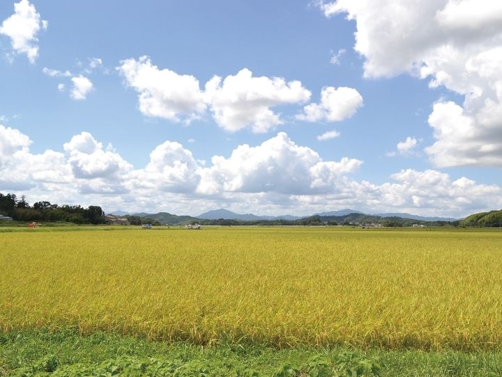 玉城町