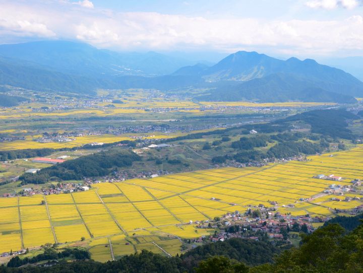 飯山市