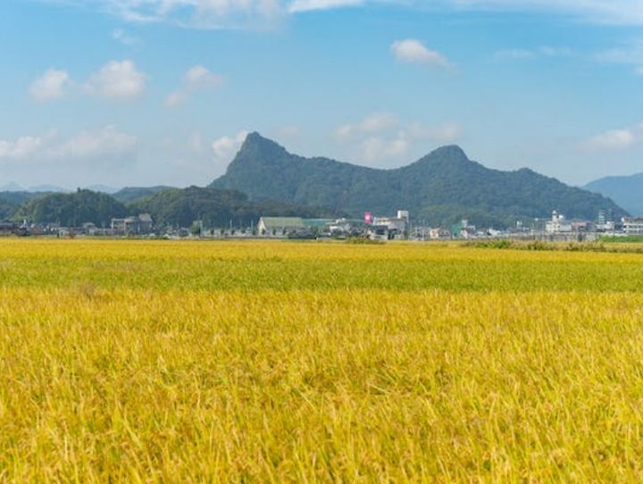 武雄市