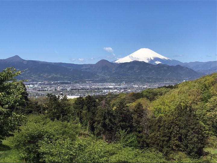 神奈川県全体