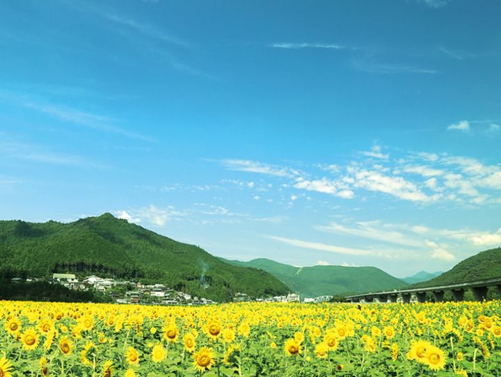 新宮市