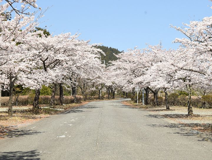 藤岡市