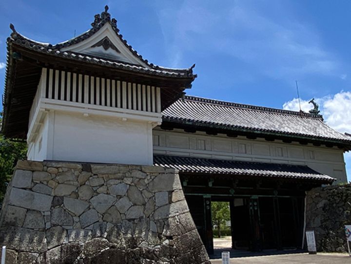 佐賀県全体