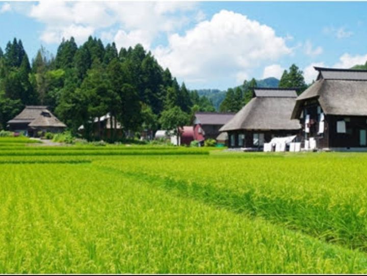 柏崎市