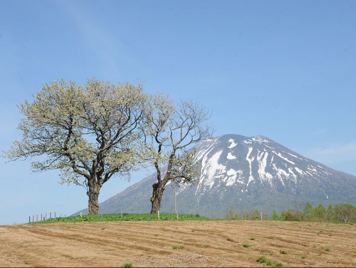 ニセコ町