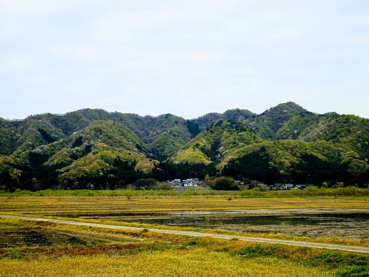 村上市