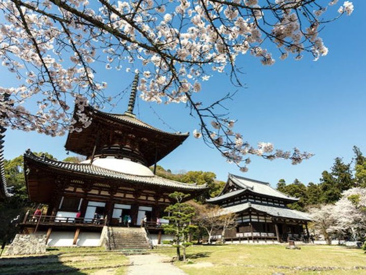 岩出市