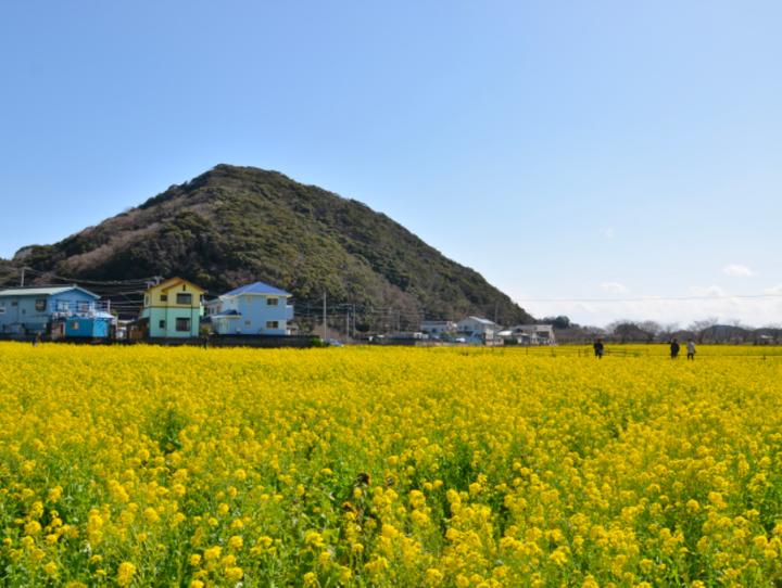 南伊豆町