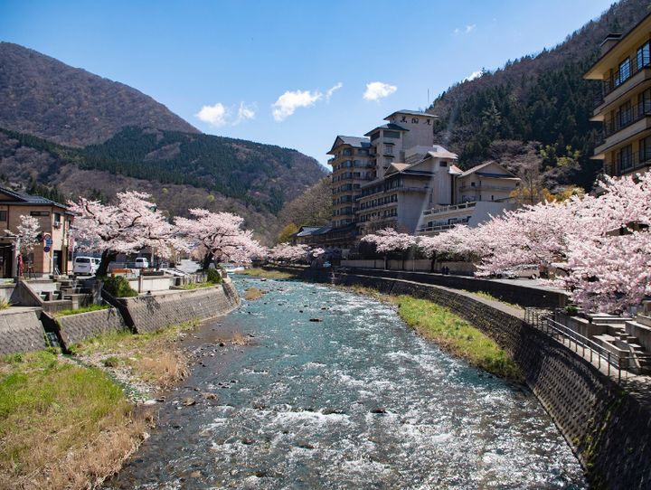 鶴岡市