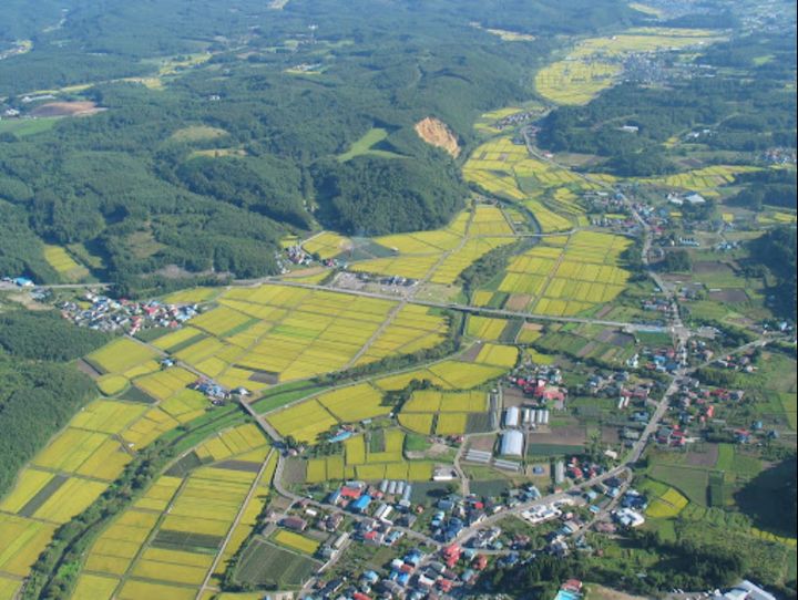 九戸村