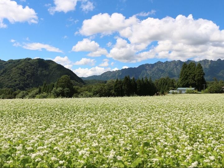 長野市