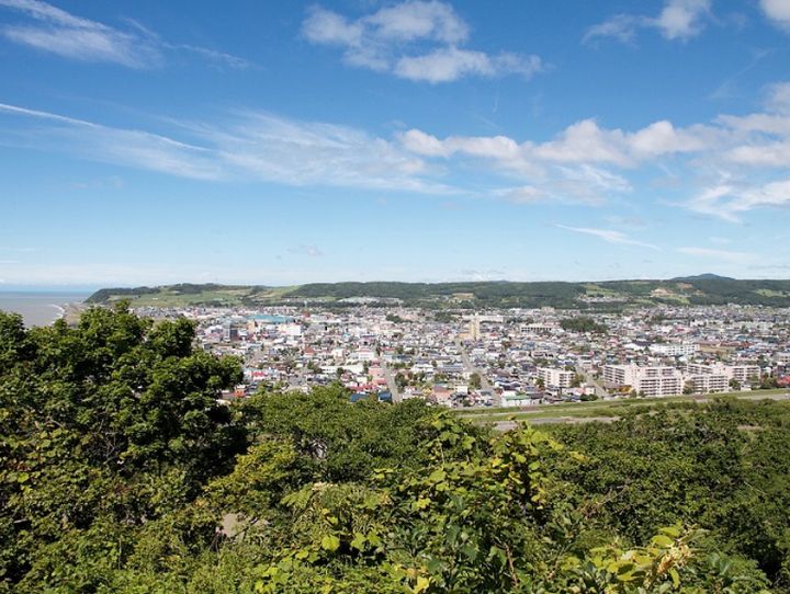 新ひだか町