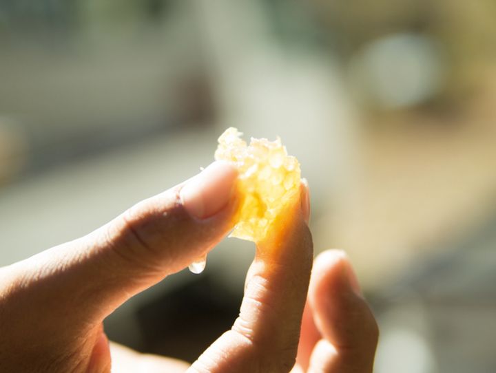 椎葉村