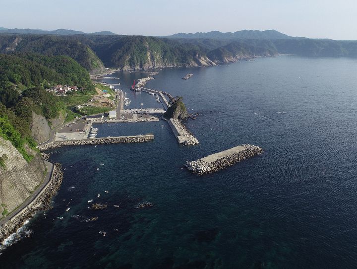 田野畑村
