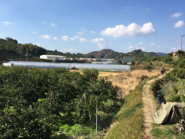 有田川町