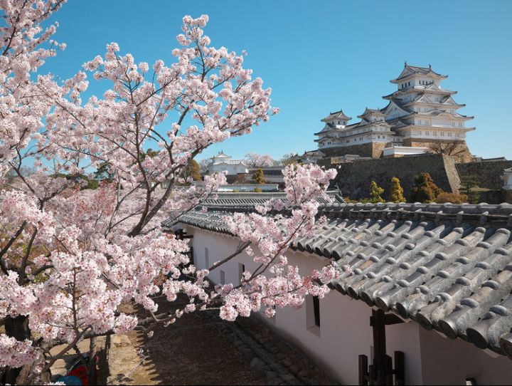 姫路市