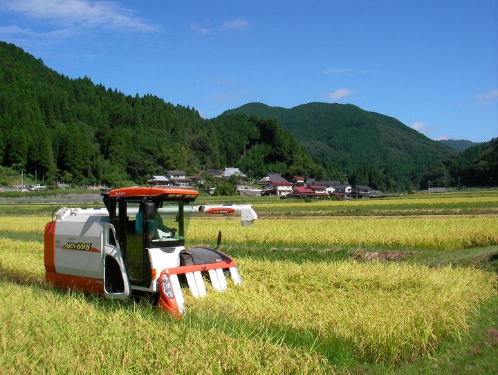 新庄村