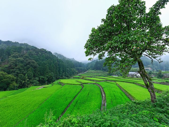 東峰村