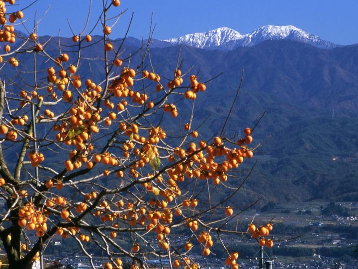 高森町