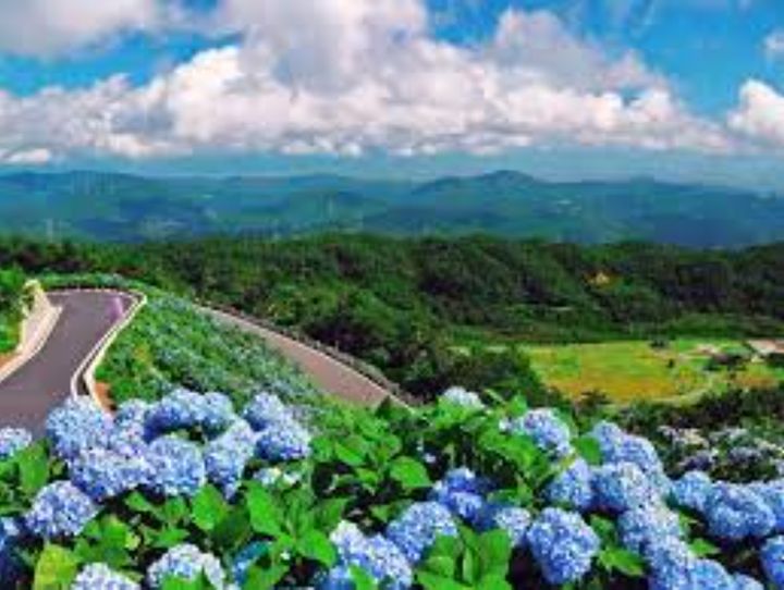 徳島県全体